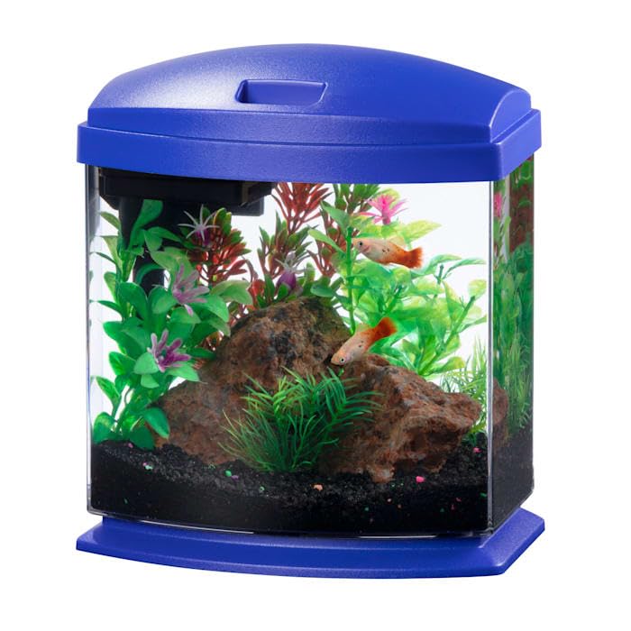 Aquarium Kit K701278