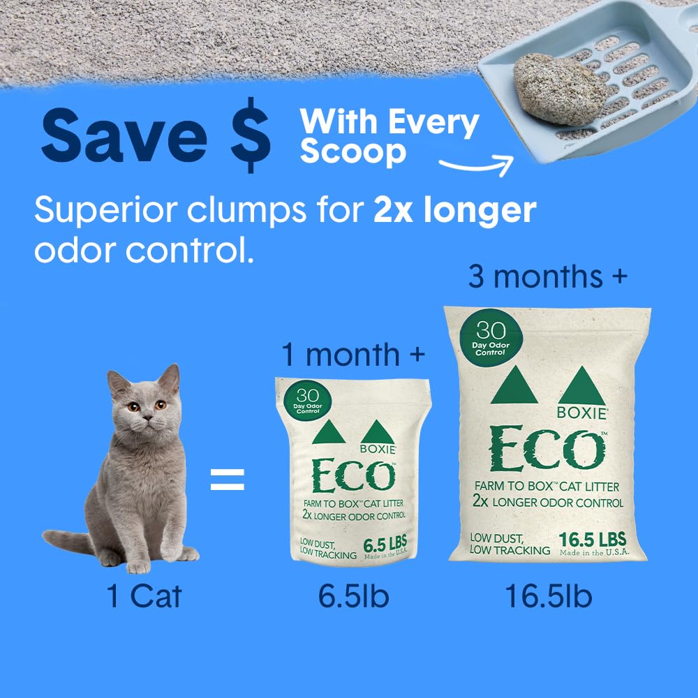 Plant-Based Clumping Cat Litter J446761