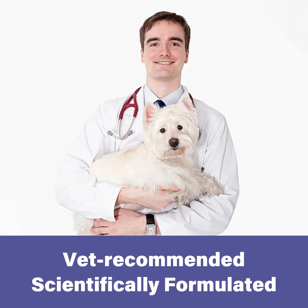Puppies and Small Dogs Dewormer Chewables D347