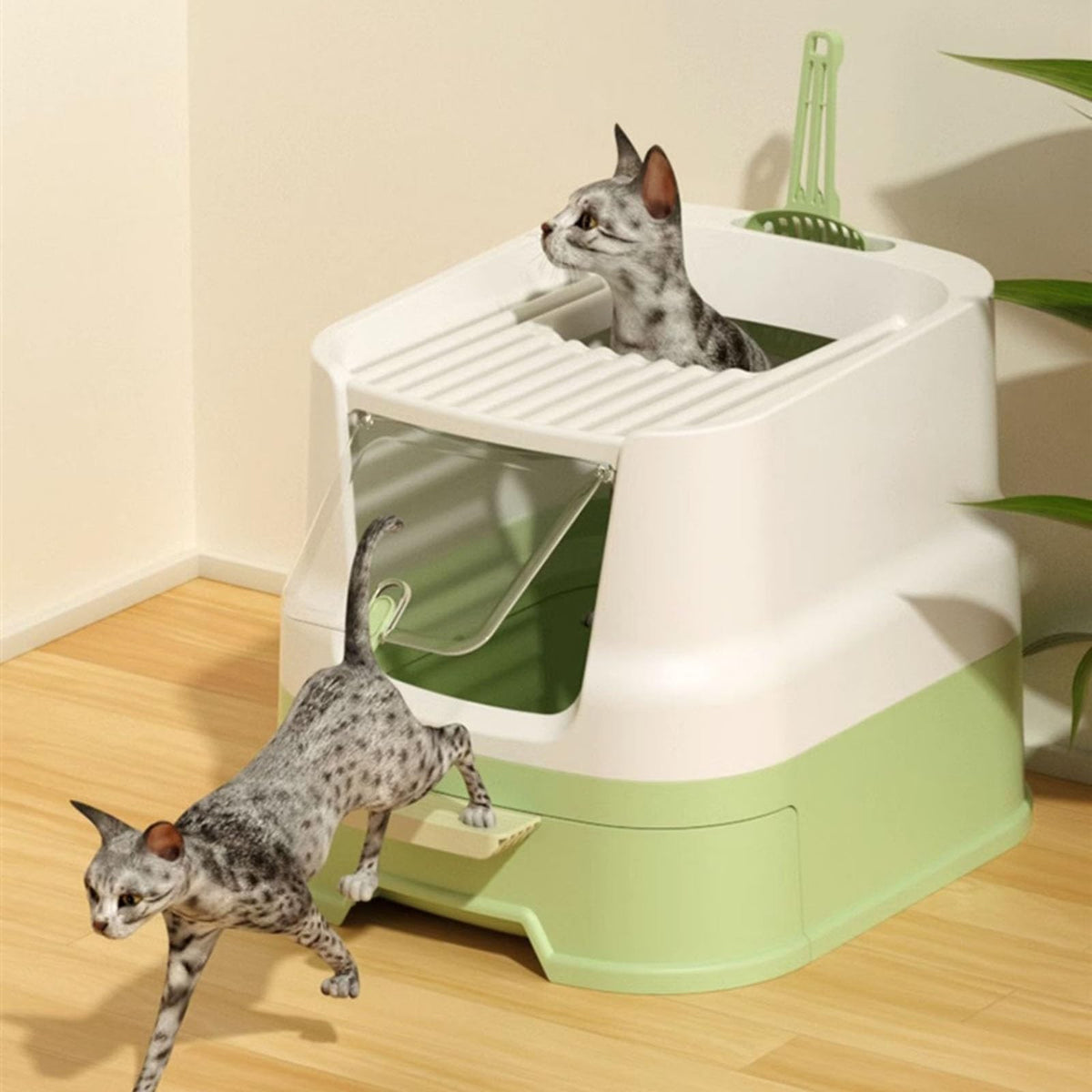 Large Top Entry Enclosed Cat Litter Box with Lid and Scoop Y529