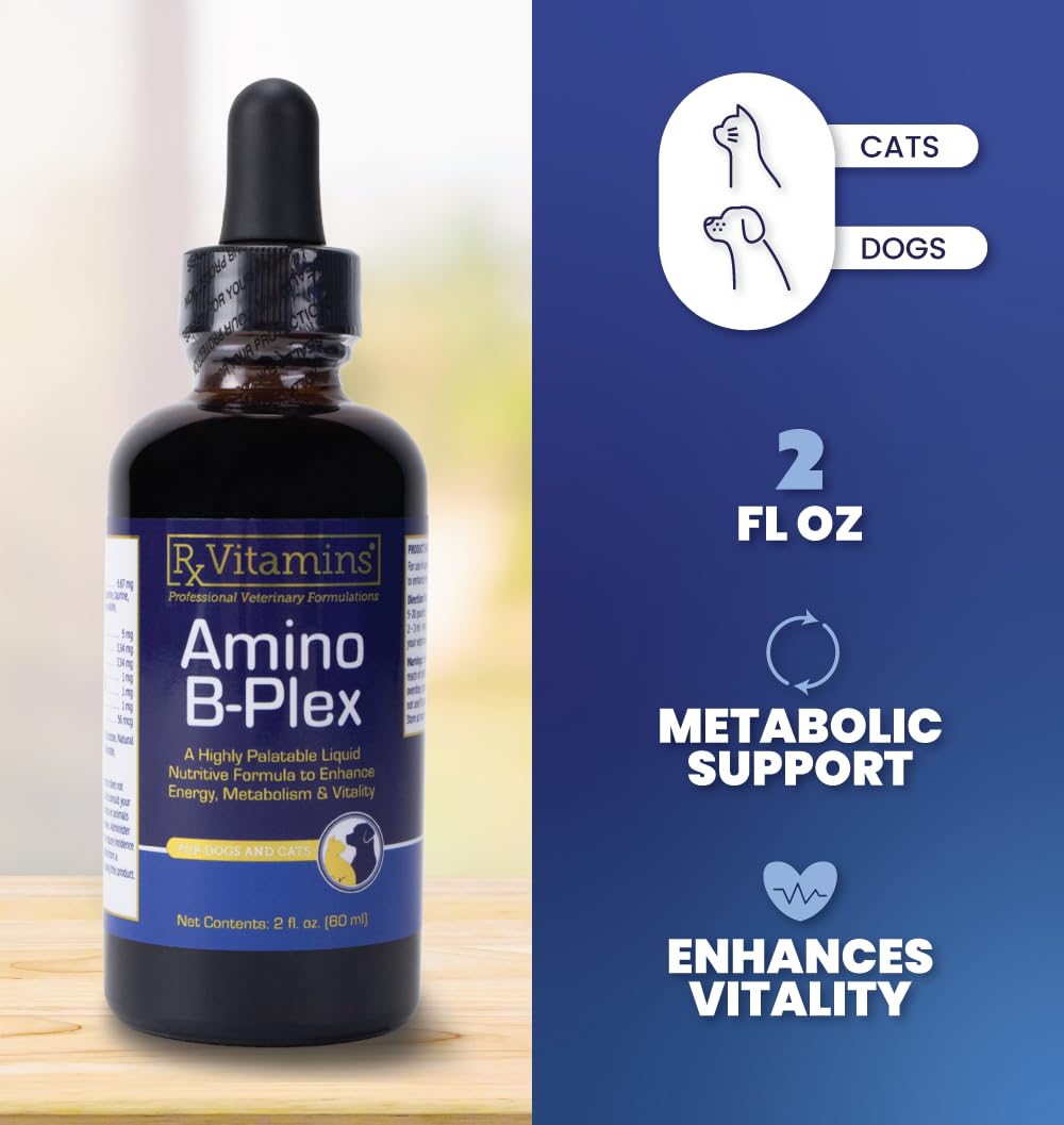 Liquid Pet Supplement with Vitamin B Complex & Iron 2 fl oz C712200