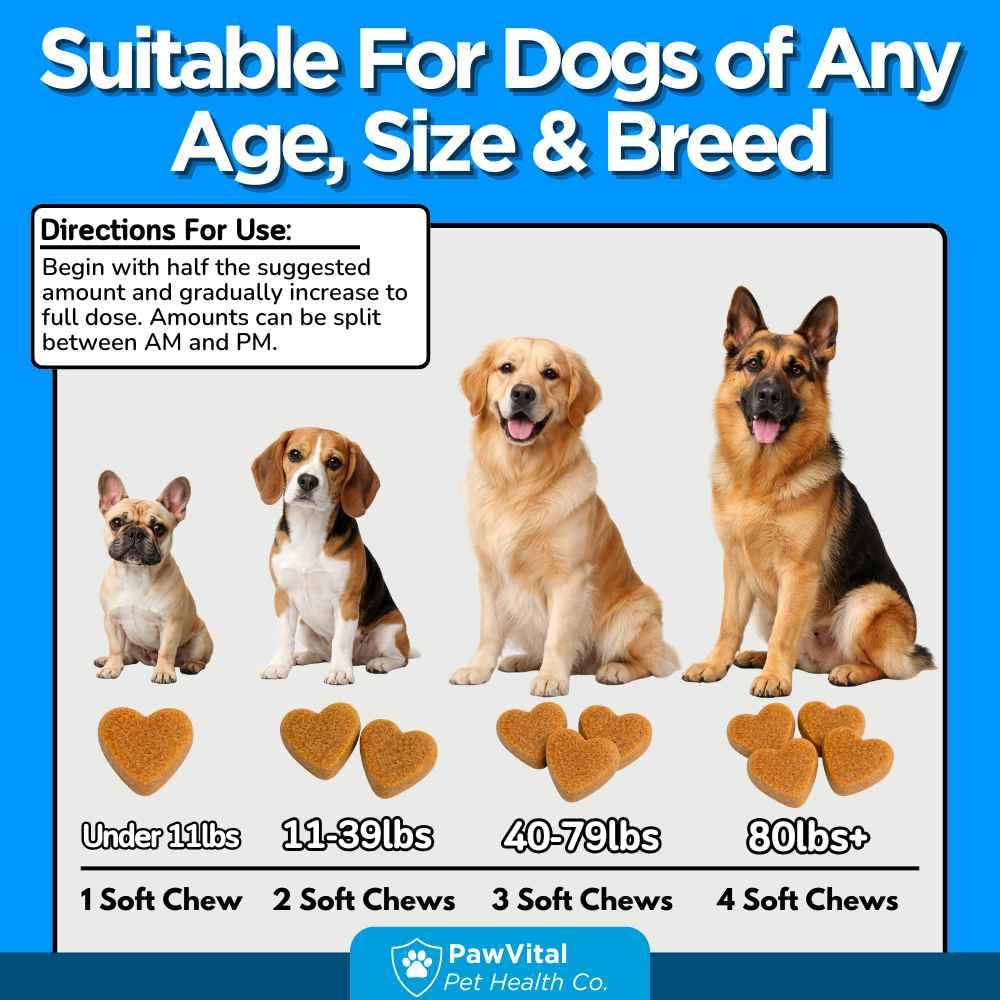 Flea and Tick Prevention for Dogs Chewables 150 Soft Chews Chicken Flavor Q936616