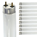 24 Inch T8 Fluorescent Tube Light Bulb 18W 4100K Cool White G13 Bi-Pin Base 1200 Lumen 2 Foot Linear Lamp Pack of 10 I155401