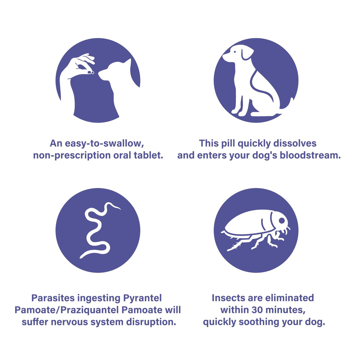 Puppies and Small Dogs Dewormer Chewables D347