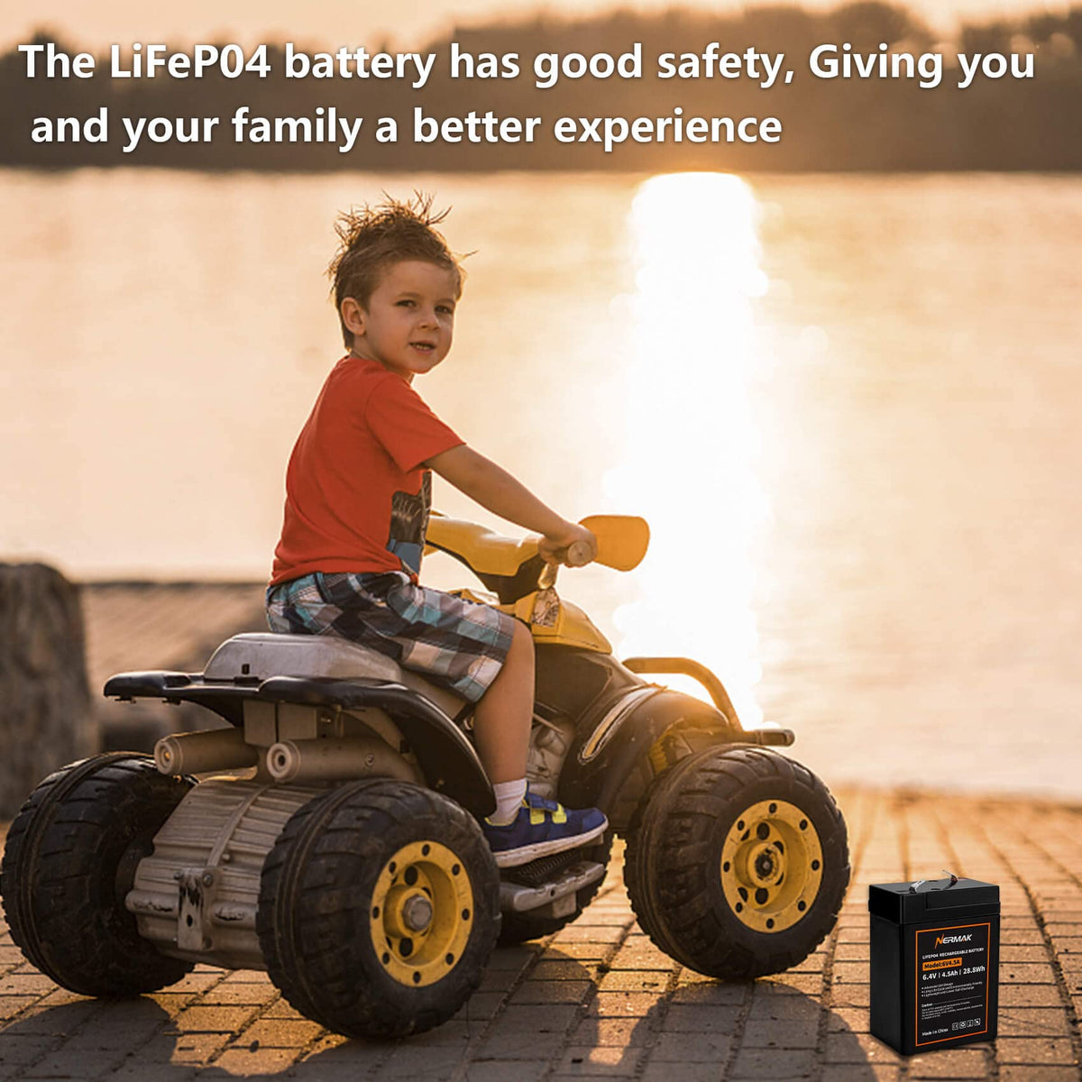 6V 4.5Ah LiFePO4 Battery 2 Pack W8219