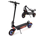 500W Electric Scooter with 10" Tires I729