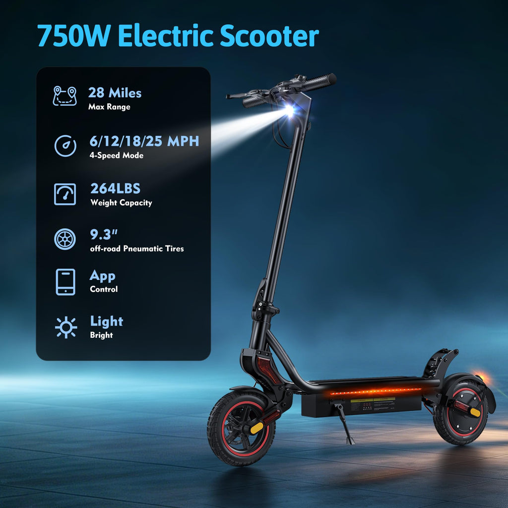 500W Electric Scooter with 10" Tires I729