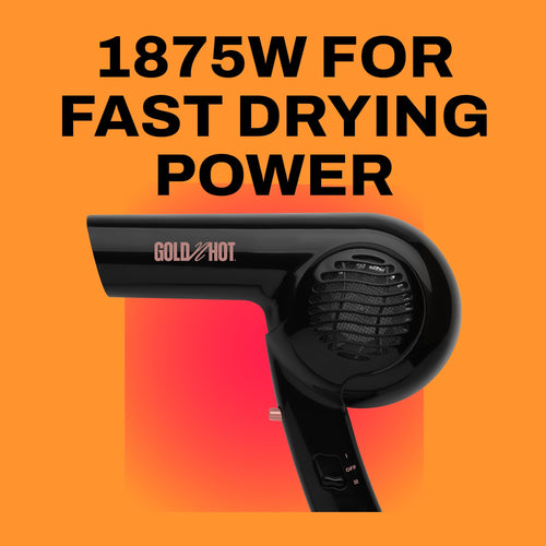 1875-Watt Dryer with Styling Pik G811