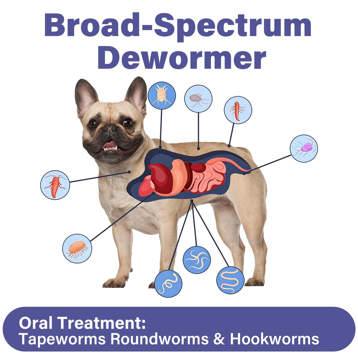 Puppies and Small Dogs Dewormer Chewables D347