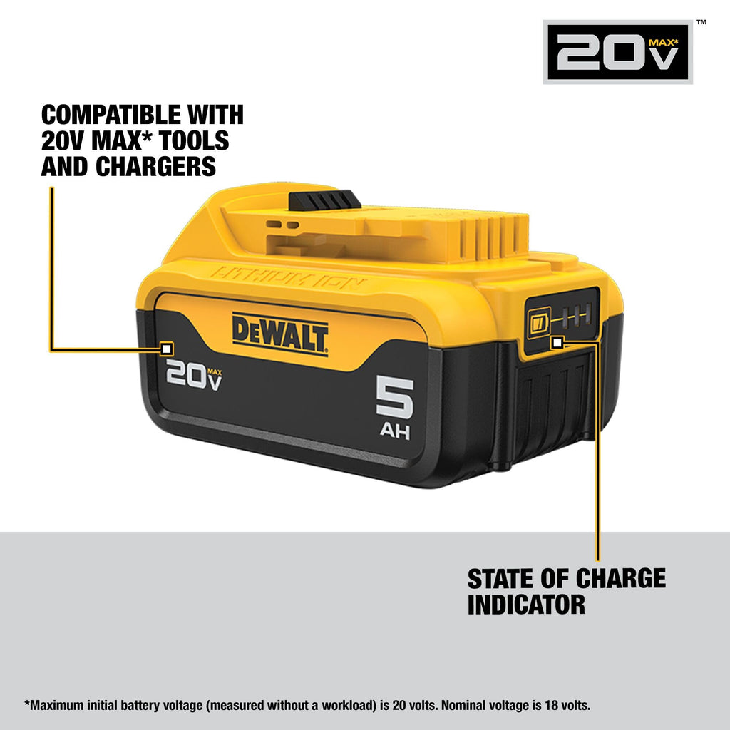 20V MAX Lithium-Ion Battery 2-Pack 5.0 Ah P880668