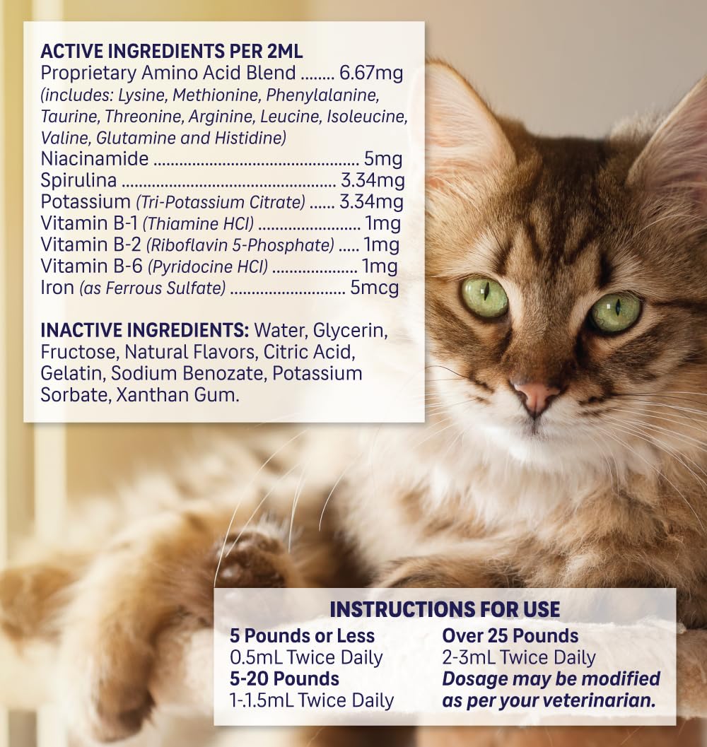Liquid Pet Supplement with Vitamin B Complex & Iron 2 fl oz C712200