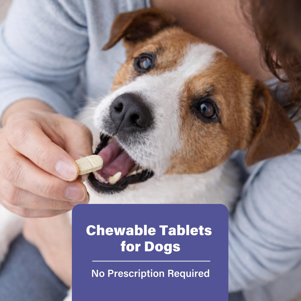 Puppies and Small Dogs Dewormer Chewables D347