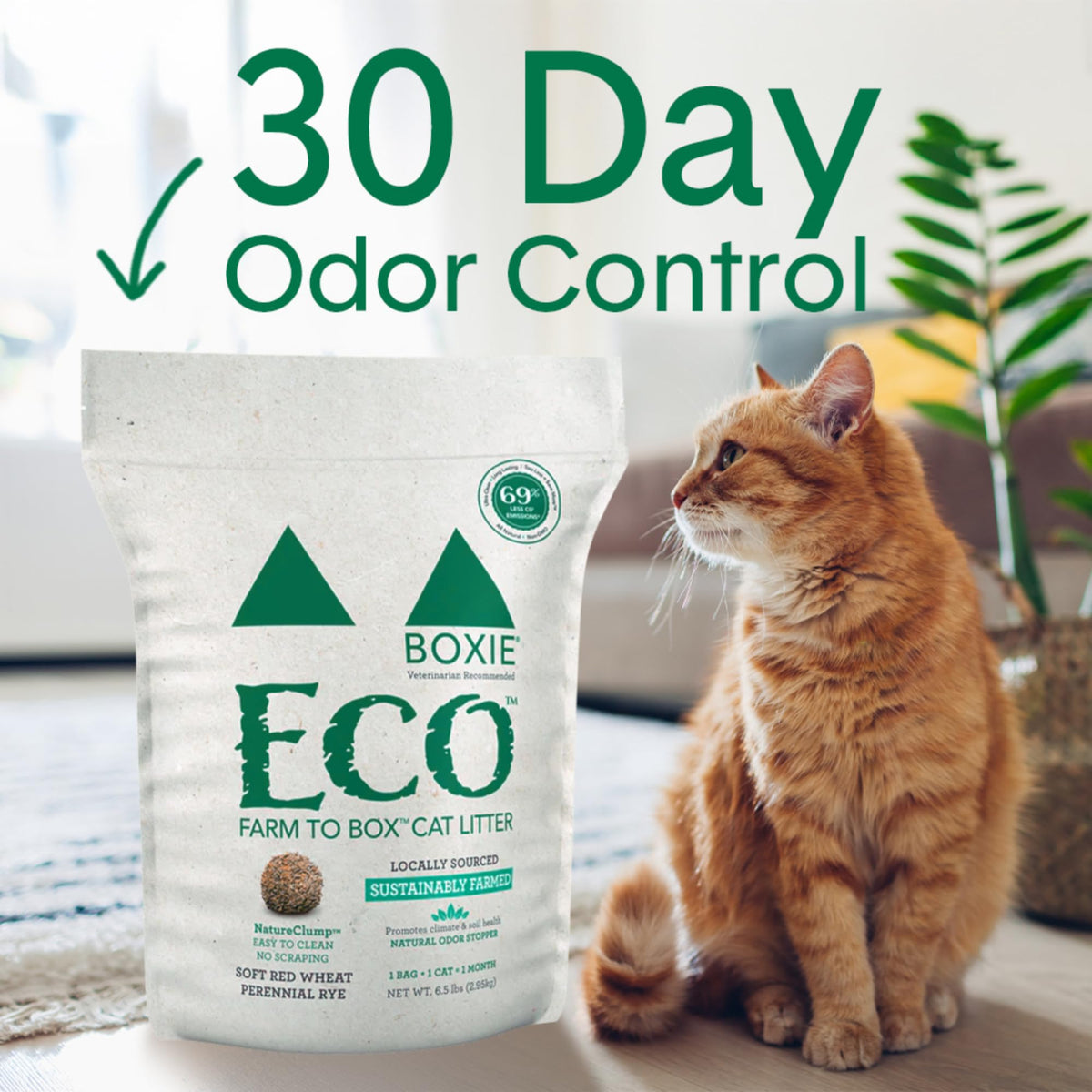 Plant-Based Clumping Cat Litter J446761