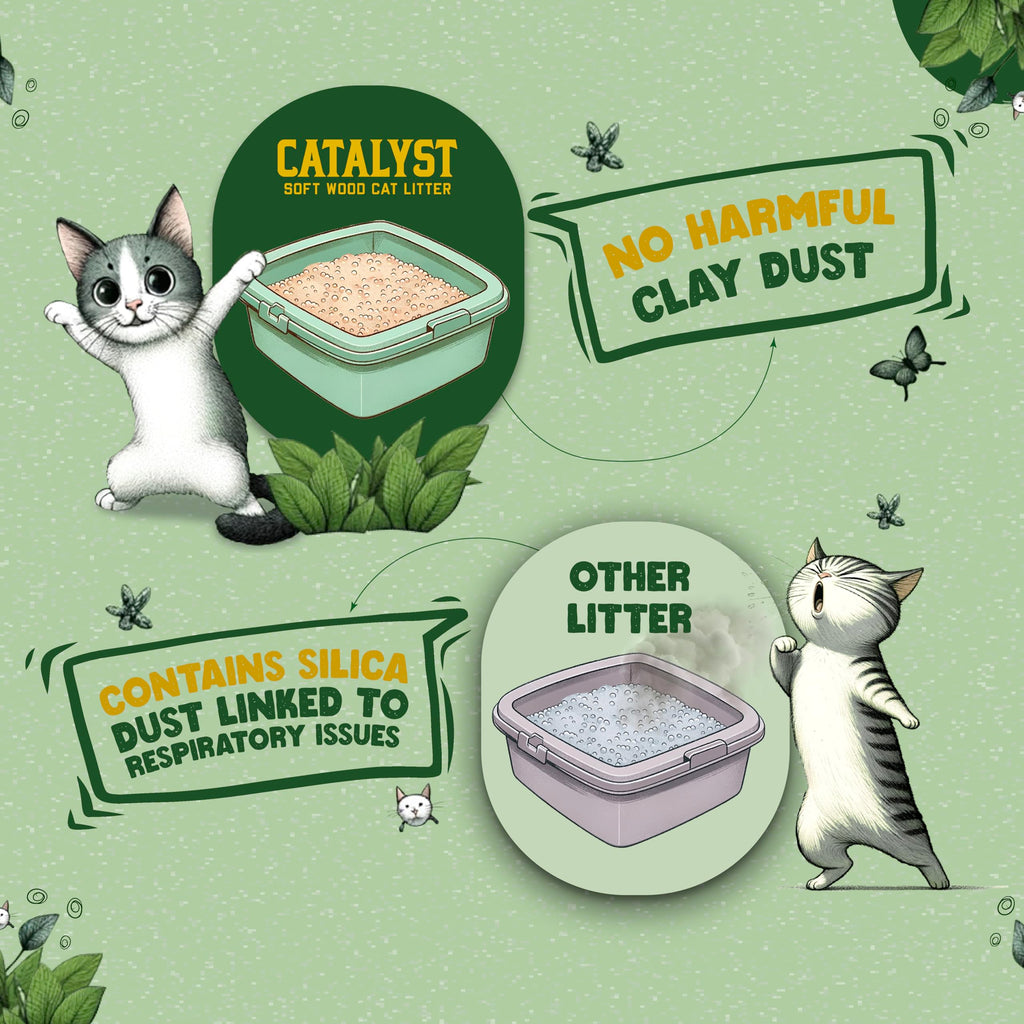 Natural Soft Wood Cat Litter Set of 2 N299329