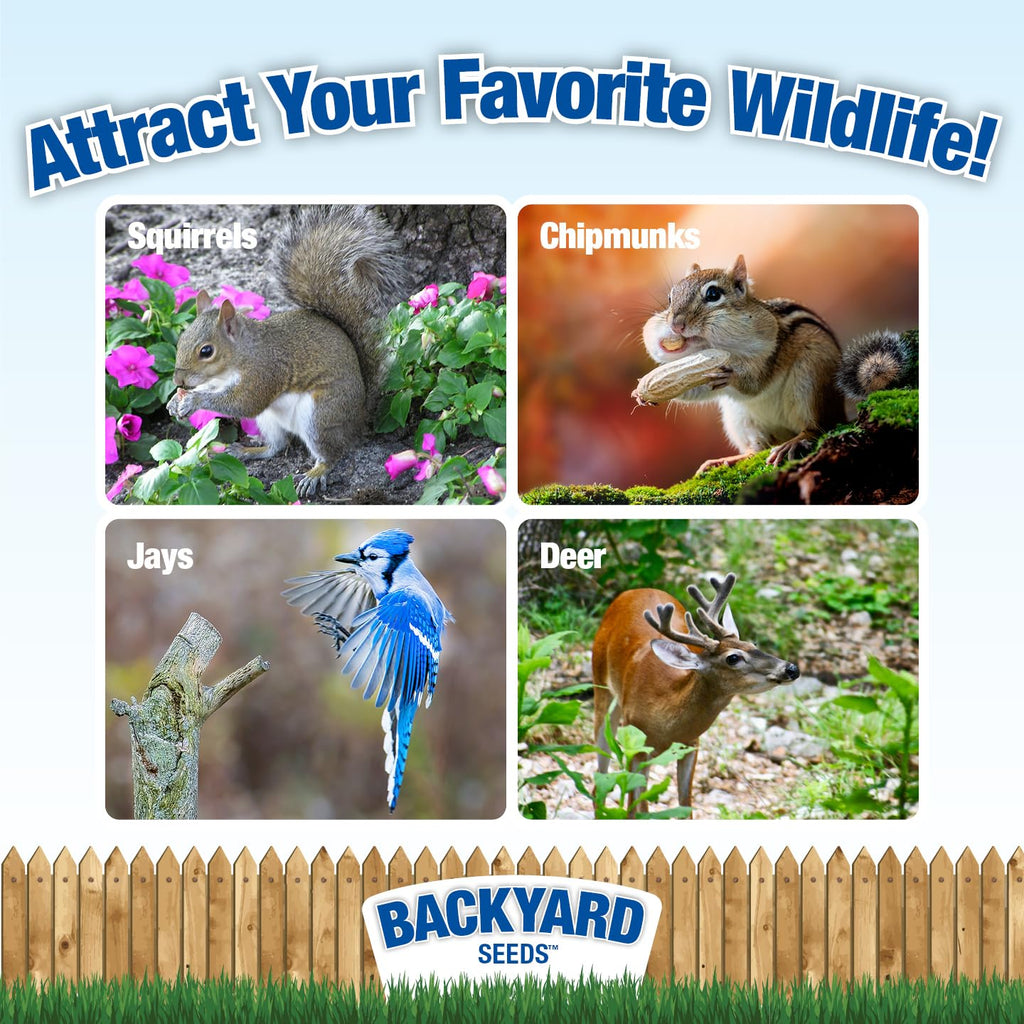 Backyard Wildlife Feed N796