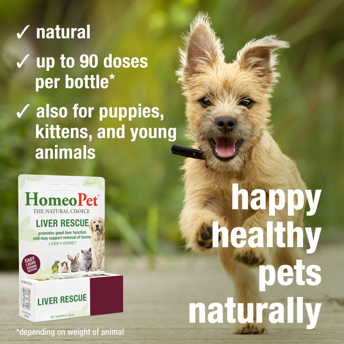 Liver Rescue Supplement for Dogs and Cats 15 Milliliters Q278958