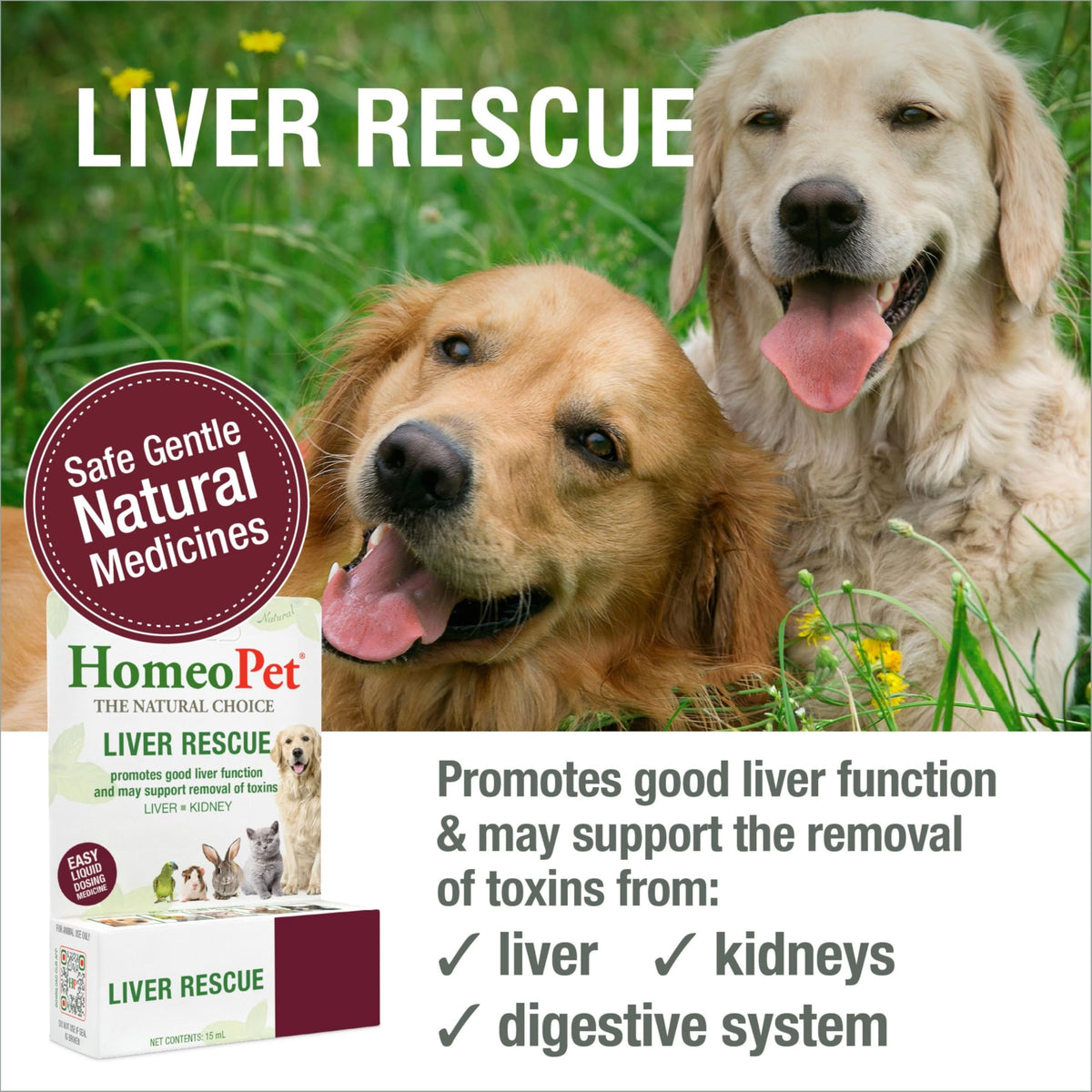Liver Rescue Supplement for Dogs and Cats 15 Milliliters Q278958