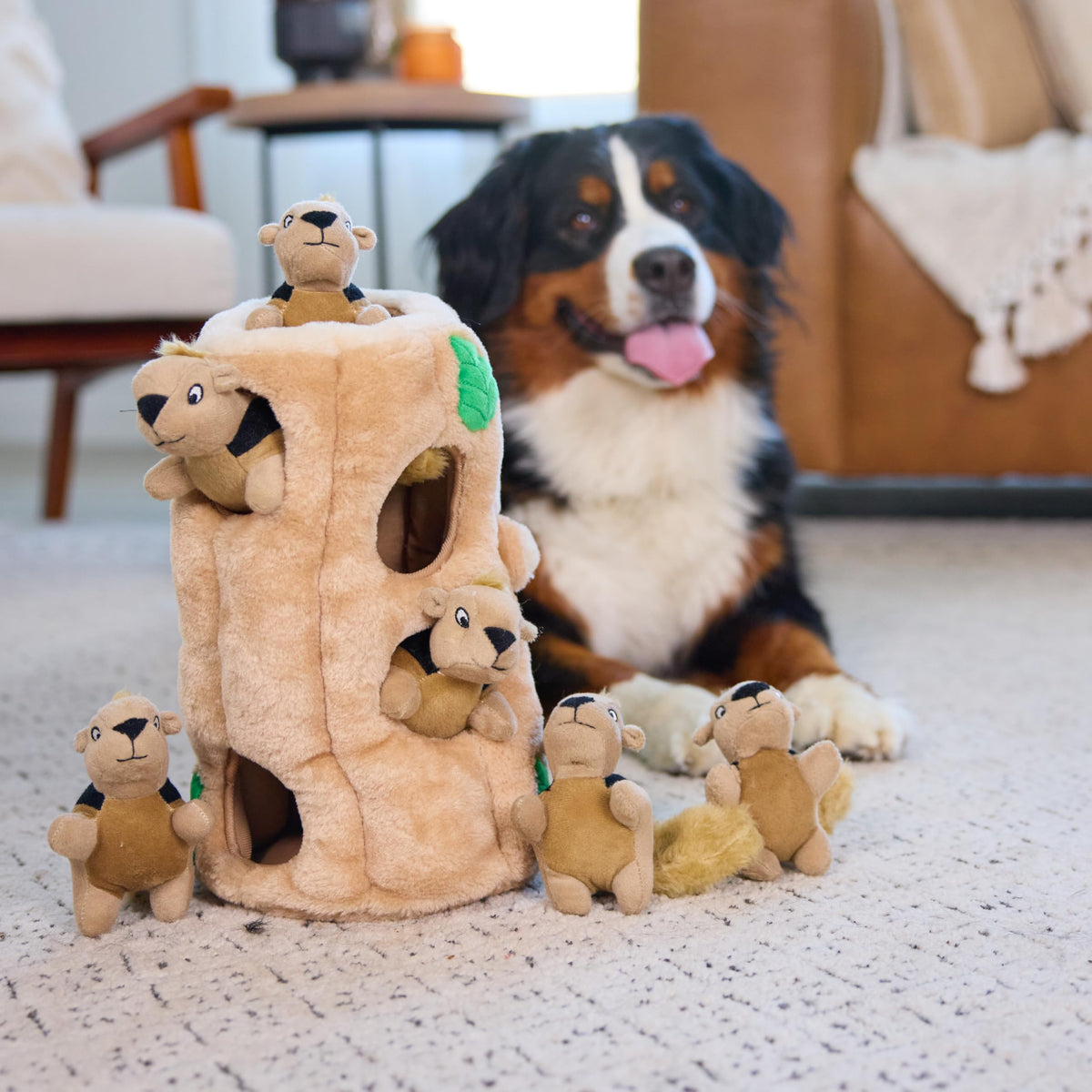 Plush Squeaky Dog Toy Y216742