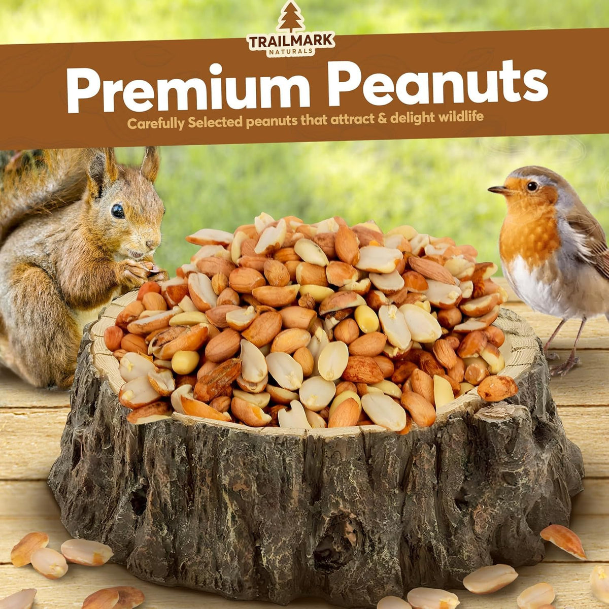 Raw Shelled Peanuts K9500