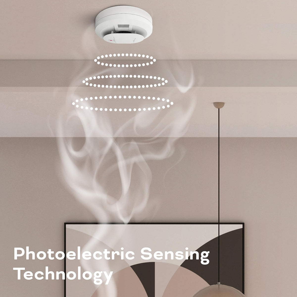 Hardwired Smoke & Carbon Monoxide Detector D3914