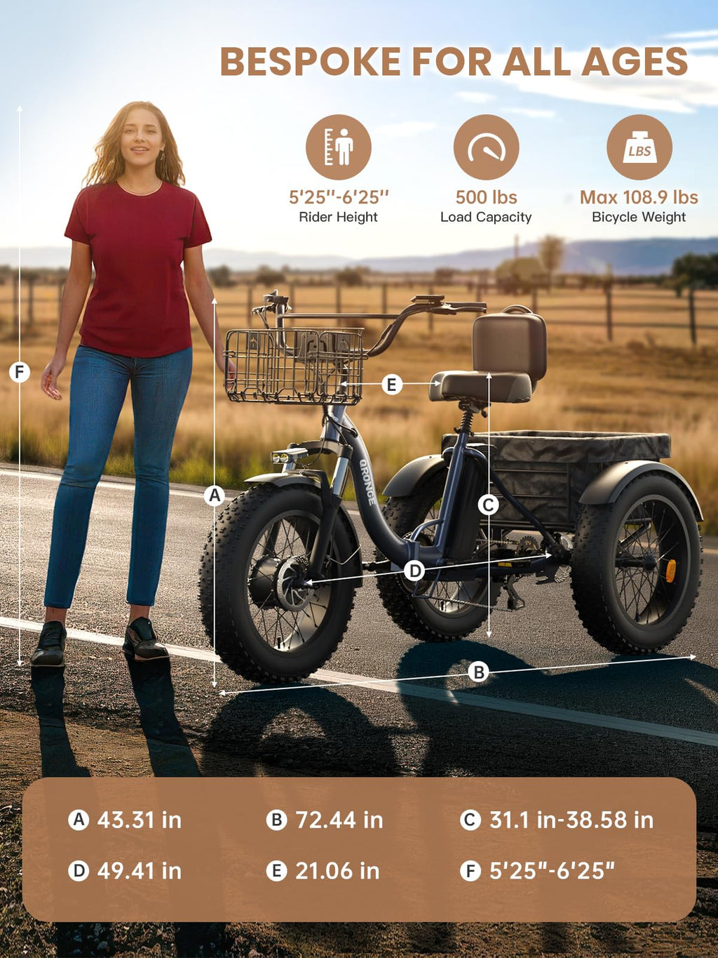 Electric Tricycle for Adults 1200W 36V 20AH Fat Tire Folding J859462