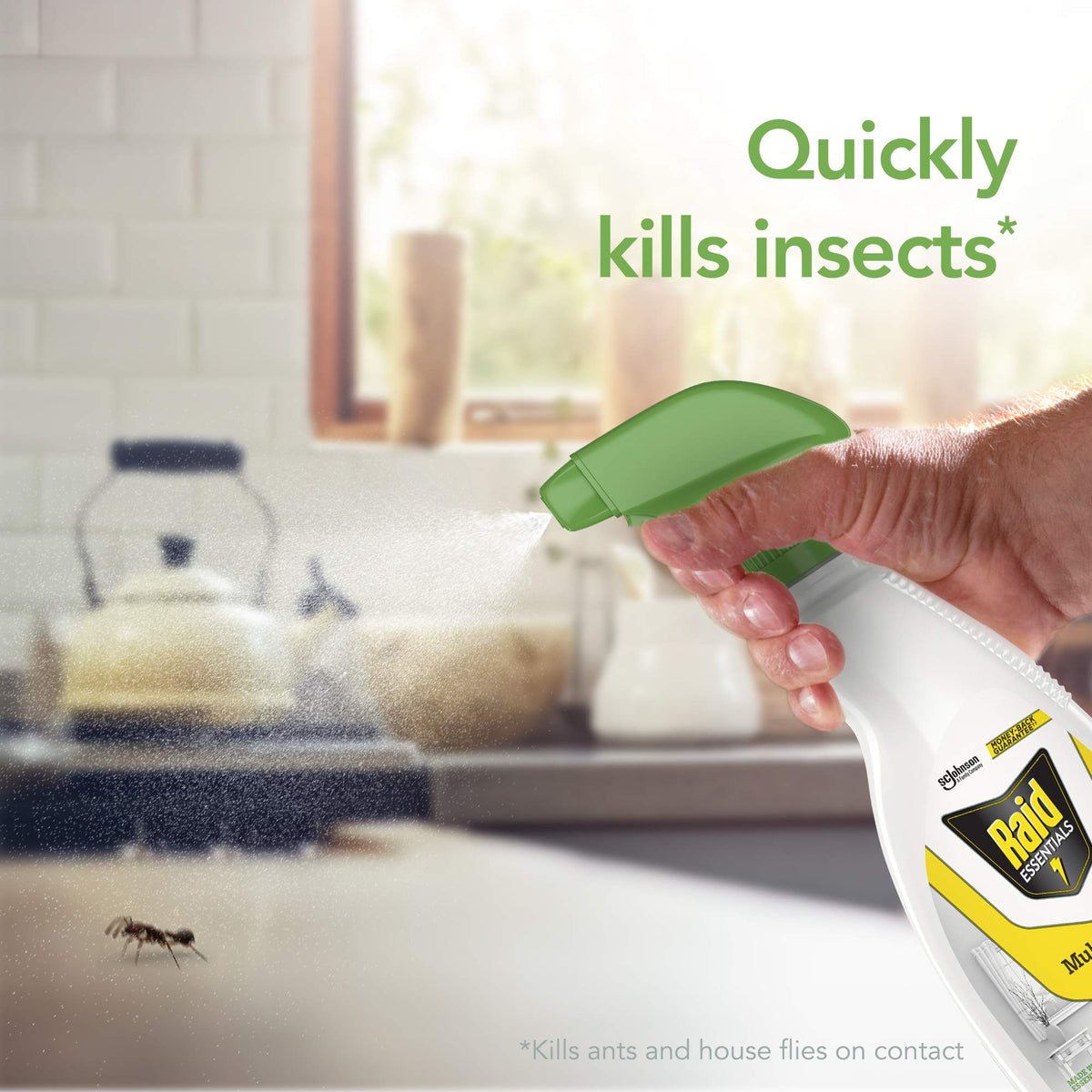 Multi-Insect Killer Spray Bottle 12 oz (Pack of 3) Y4824