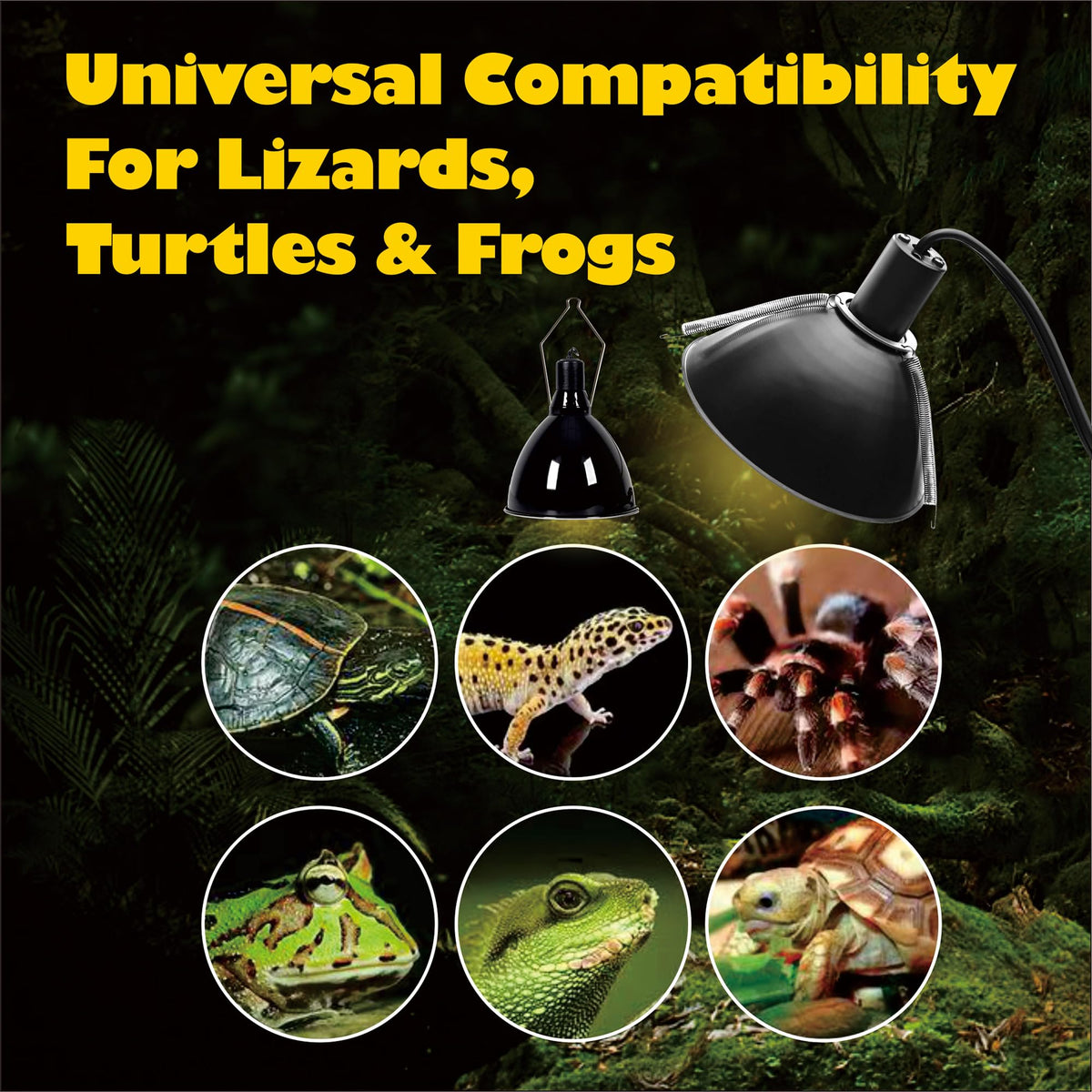 Reptile Heat Lamp Clips & Hangers Kit Stainless Steel I4223
