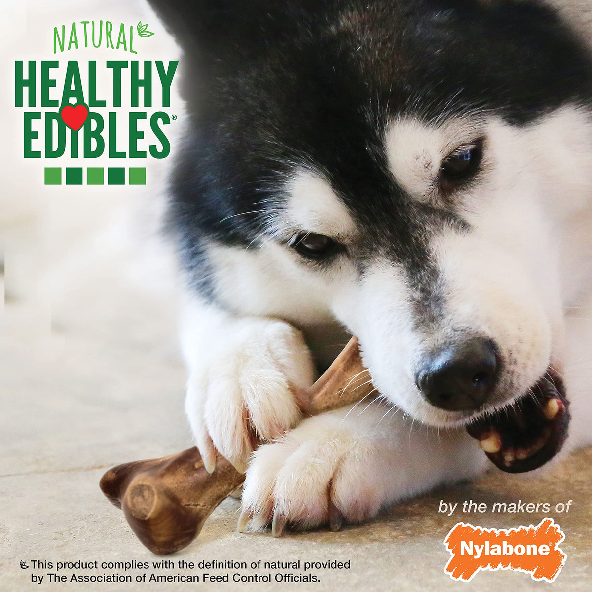 Large Ham Flavor Dog Treats T396947
