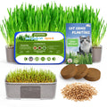 3 Pack Cat Grass Seeds Growing Kit X33635