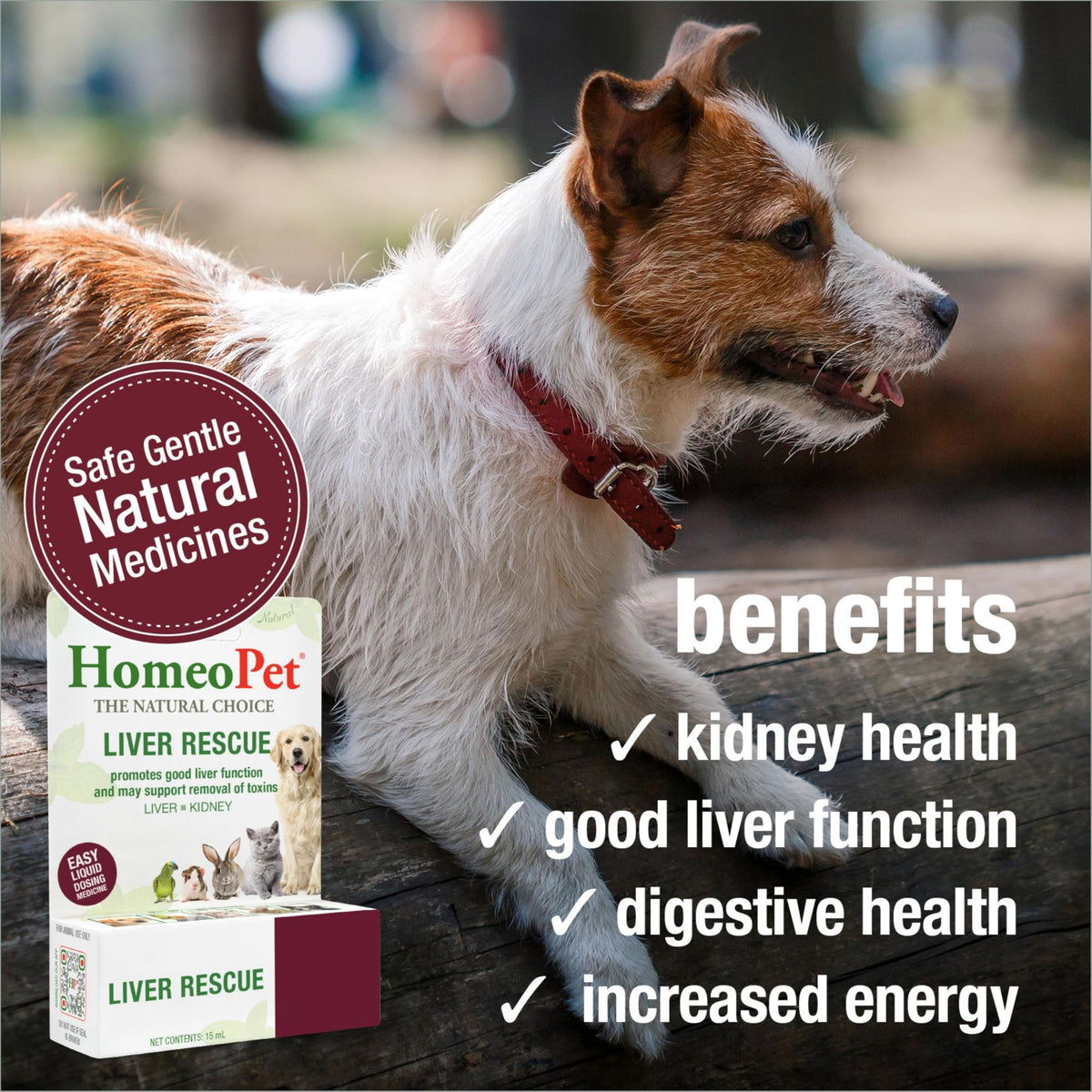 Liver Rescue Supplement for Dogs and Cats 15 Milliliters Q278958