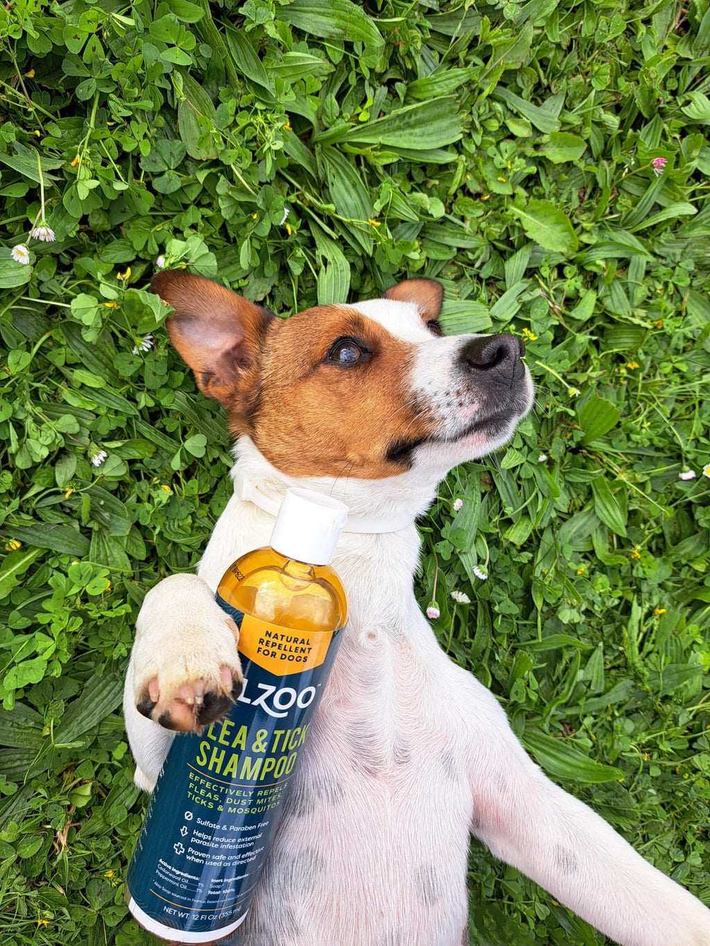 Plant Based Flea and Tick Repellent Dog Shampoo 12 Fl. Oz. E8708